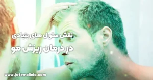 the role of stem cells in treating hair loss - تاثیر سلولهای بنیادی در جلوگیری و درمان ریزش مو
